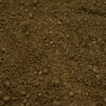 photo (17)