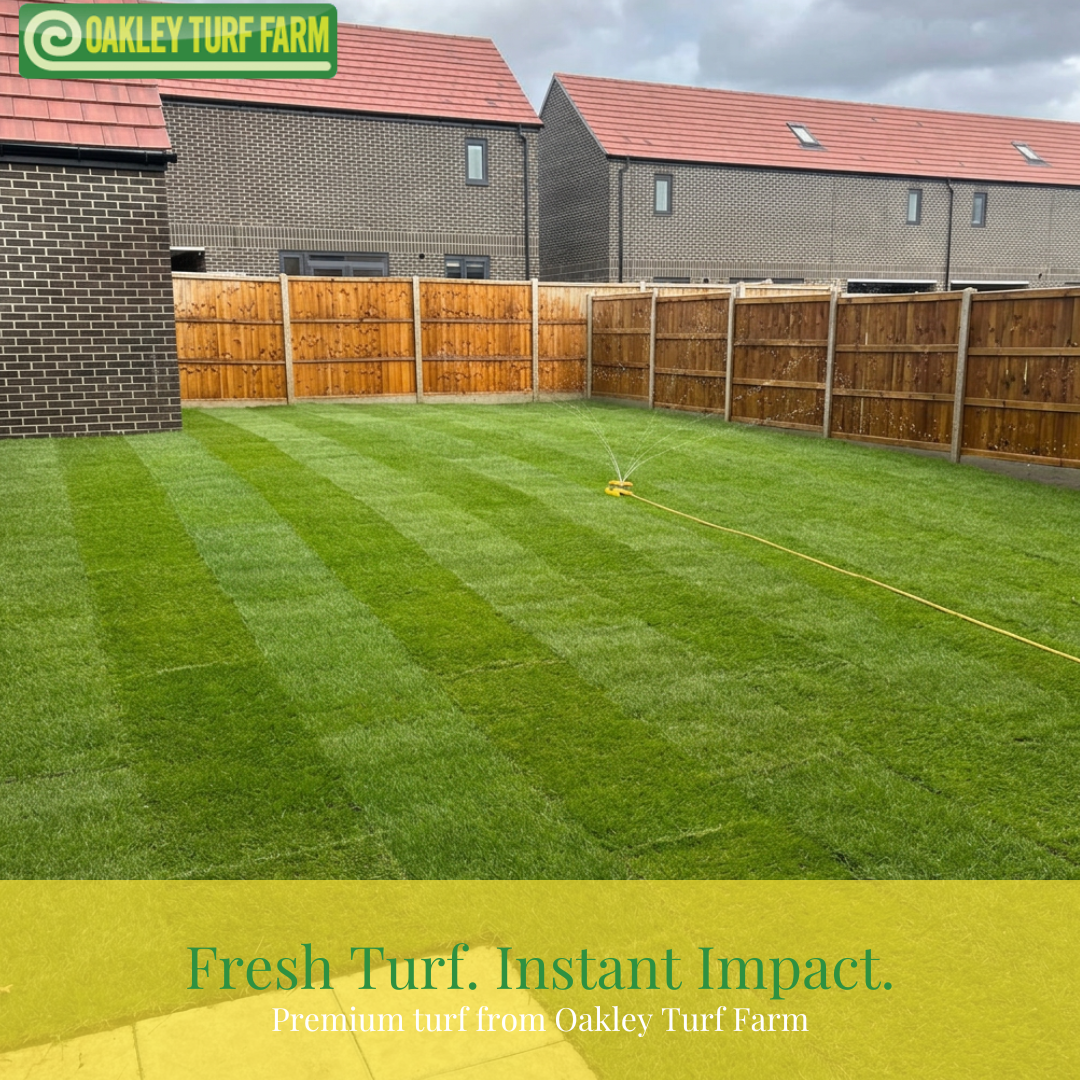 Family Garden Turf - Image 2