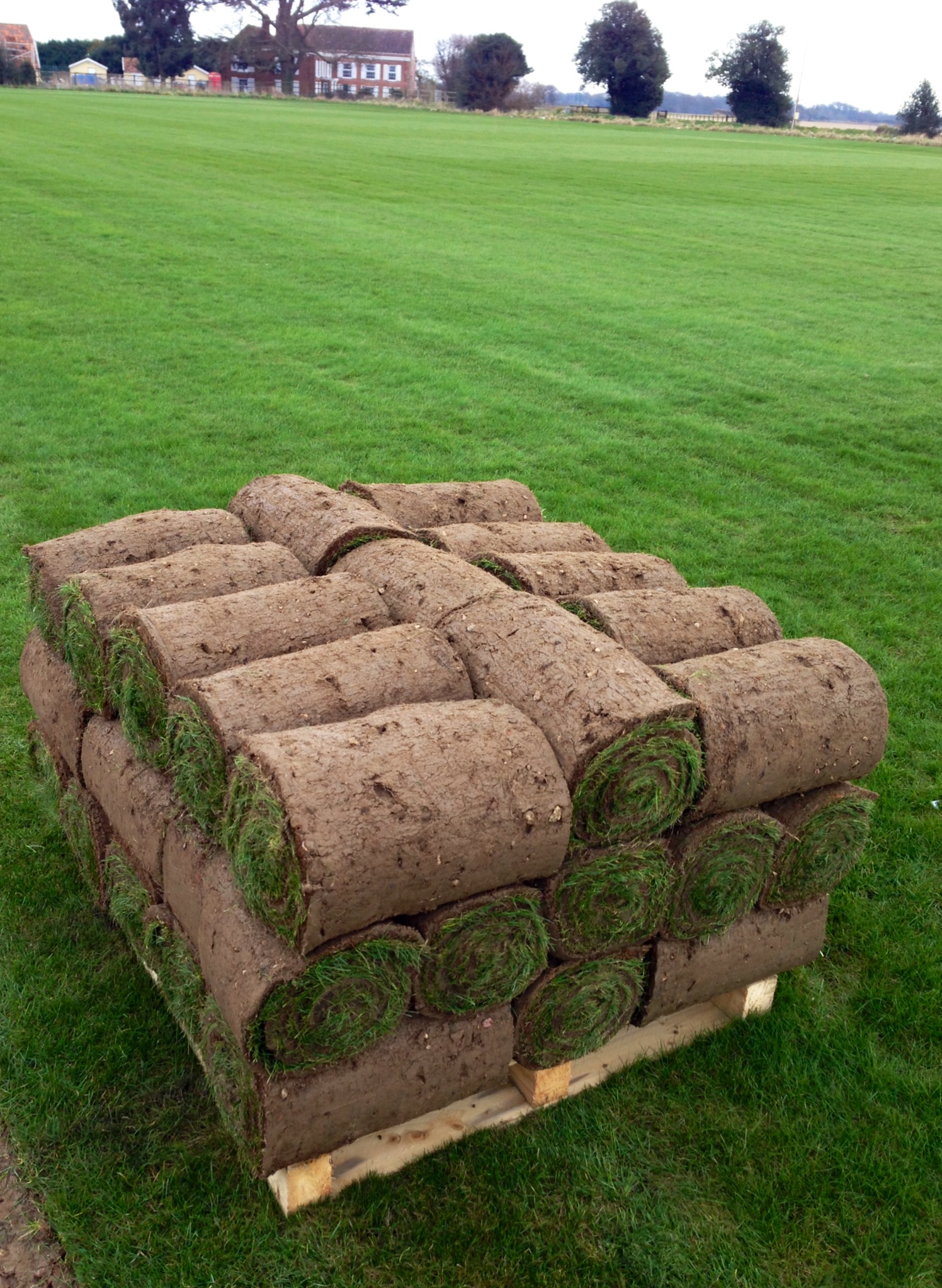 photo (18) Buy Turf Essex and Turf Suffolk delivered to your garden.