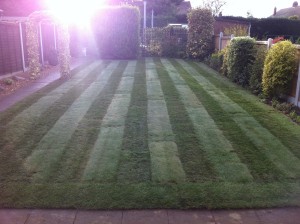 Finished Lawn