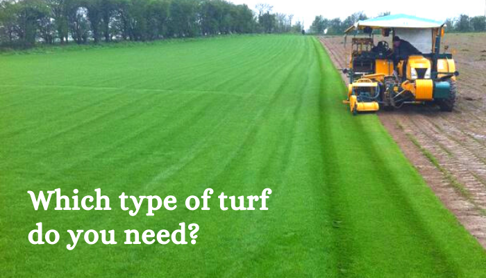 which type of turf do you need