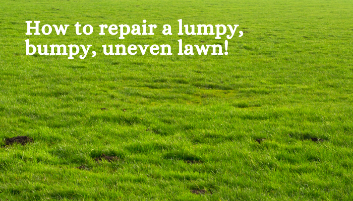 How to repair a lumpy bumpy uneven lawn
