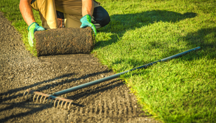 Spring is a great time to lay a new turf lawn