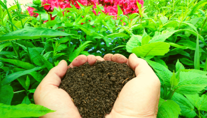 Oakley Turf Farm Compost. Use it in your garden or allotment to see your best yield yet